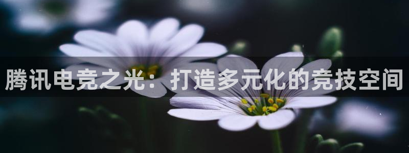蜂鸟电竞下载：腾讯电竞之光：打造多元化的竞技空间